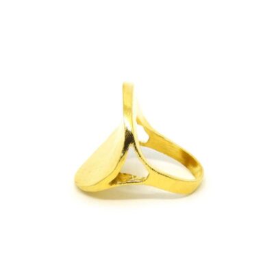 Anel Dourado - Aro 16